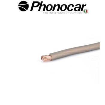 06.107.1 PHONOCAR