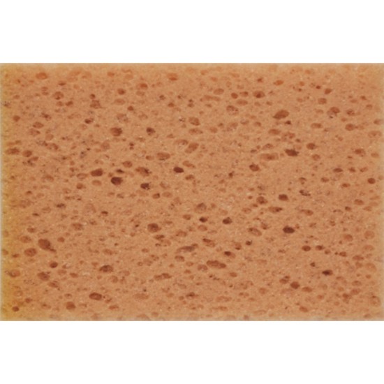 ΣΦΟΥΓΓΑΡΙ ΠΛΥΣΙΜΑΤΟΣ Autolegend - 1 ΤΕΜ. Σφουγγάρια