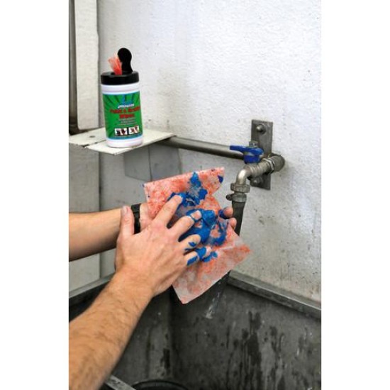 Υγρομάντηλα Χεριών JACK PAINT ΚΑΙ GRAFFITI 25τεμ Χημικά