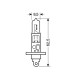 H1 12V 55W BLU-XE 4.500K +20% ΚΟΥΤΙ 2ΤΕΜ. 4100K έως 4700K H1 12V 55W BLU-XE 4.500K +20% ΚΟΥΤΙ 2ΤΕΜ. 4100K έως 4700K